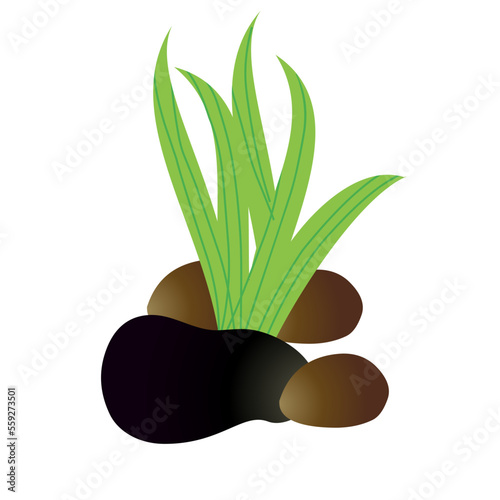 Cute cartoon aquarium plants