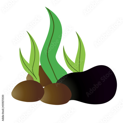 Cute cartoon aquarium plants