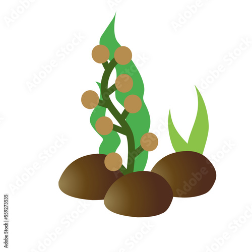 Cute cartoon aquarium plants