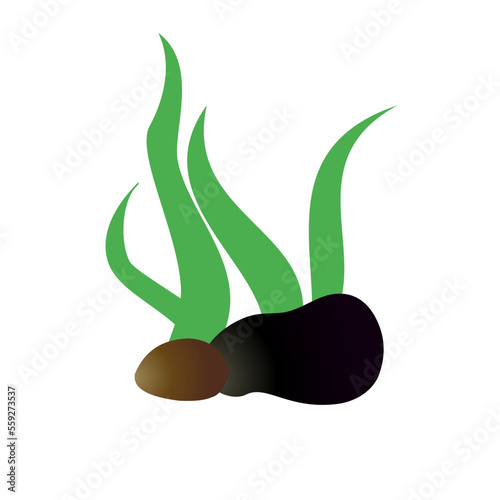 Cute cartoon aquarium plants