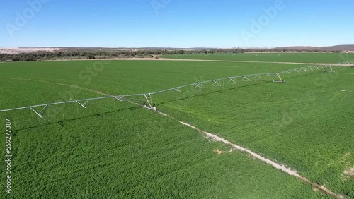 Aerial view of irrigation pivots with sprinklers spraying water on the crops photo