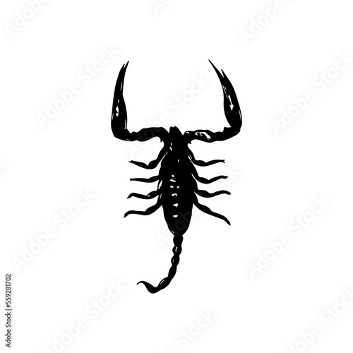 black scorpion silhouette vector illustration