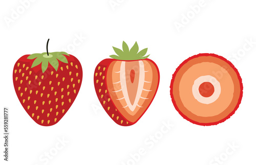 Strawberry fruit slice icon illustration