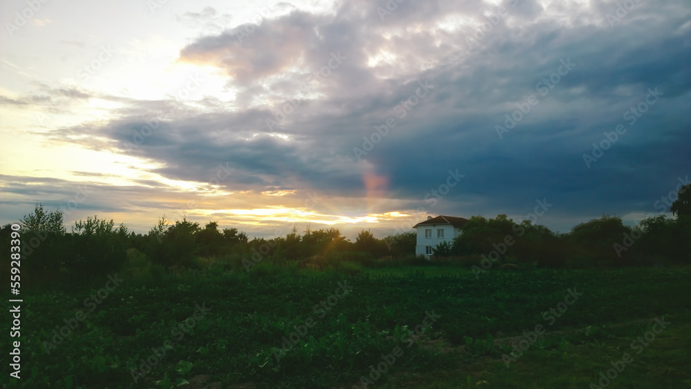 sunset over a green meadow. summer landscape sunset over a green meadow. summer landscape