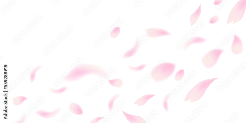桜 花びら 風景 背景 桜 花びら 風景 背景