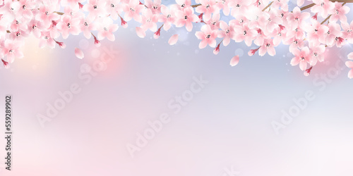桜　春　風景　背景