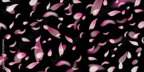 桜　花びら　風景　背景