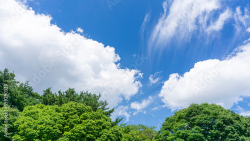 青空と雲の背景素材 © koni film