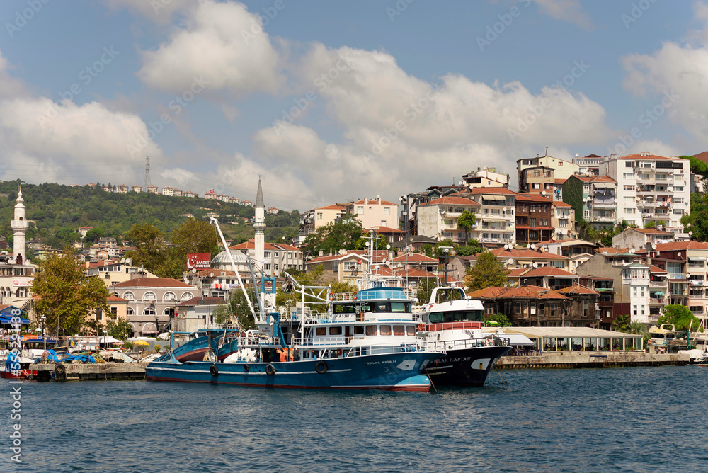 View from the sea of the green mountains of the Europian side of Bosphorus strait, with docked boats, traditional houses and dense trees in a summer day, Istanbul, Turkey