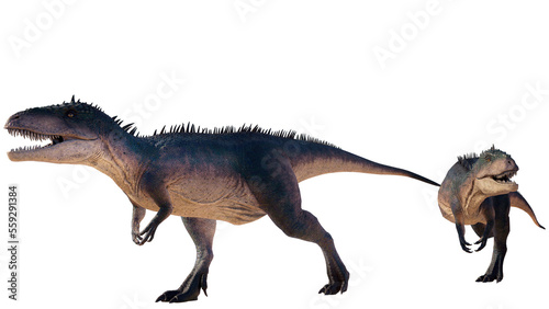 Carcharodontosaurus dinosaur isolated on blank background PNG ultra high resolution