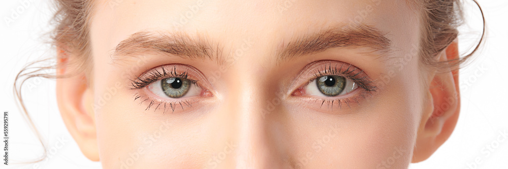 Fototapeta premium close up of beauty asia woman eye on white background.
