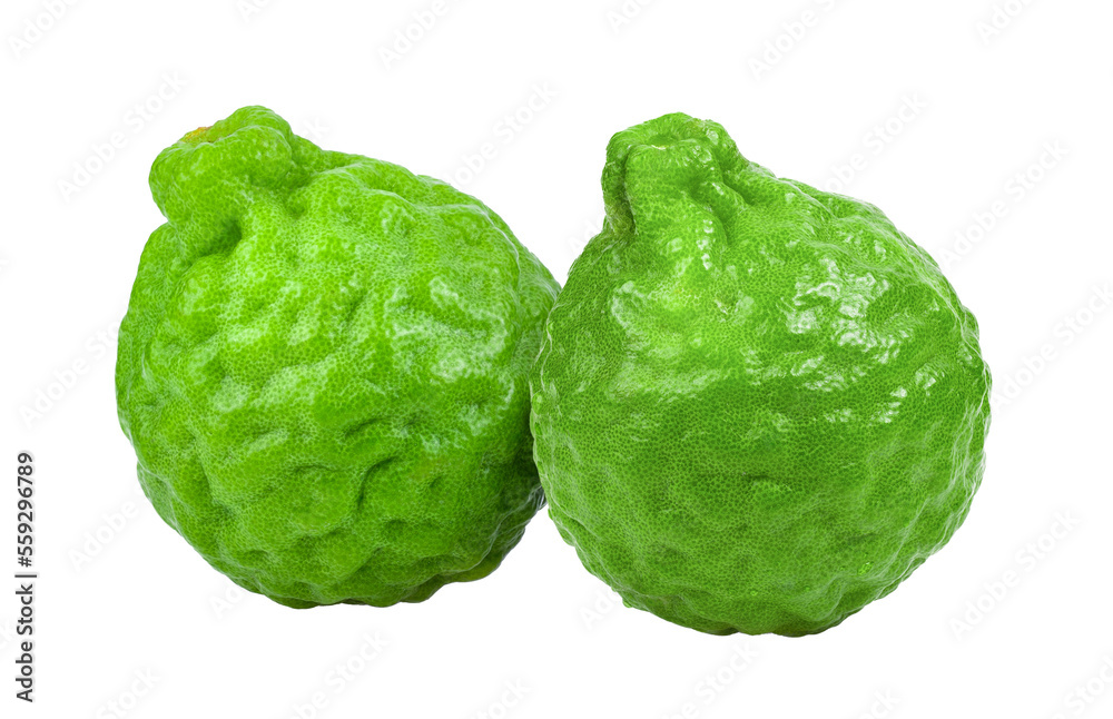 bergamot or kaffir on transparent png bergamot or kaffir on transparent png