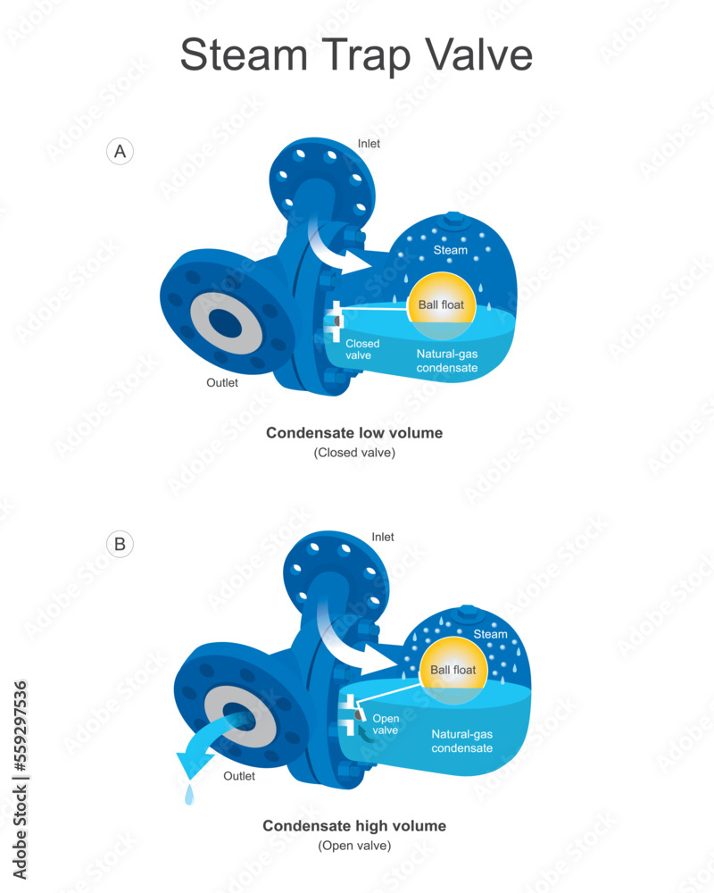 Steam Trap Valve. A steam trap is an automatic valve designed to