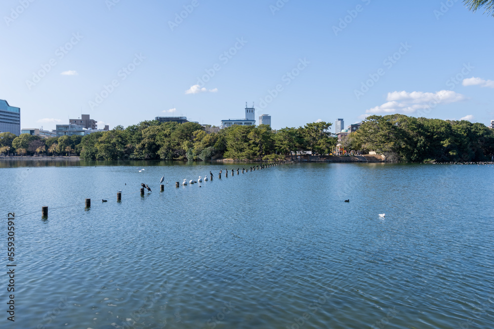 福岡県福岡市の中心で市民が憩いの場として慕う大濠公園の景色