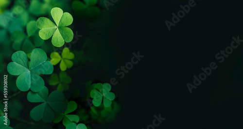 Clover Leaves for Green background with three-leaved shamrocks. st patrick's day background, holiday symbol, Earth Day	