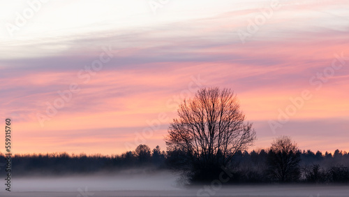 Roter Sonnenaufgang über einer nebeligen Wiese mit Bäumen als Relief.