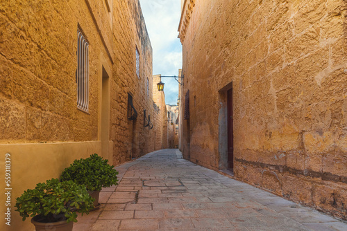 Fototapeta Naklejka Na Ścianę i Meble -  Old medieval narrow street with street lights and flower pots in Mdina town, Malta with nobody. Travel destination