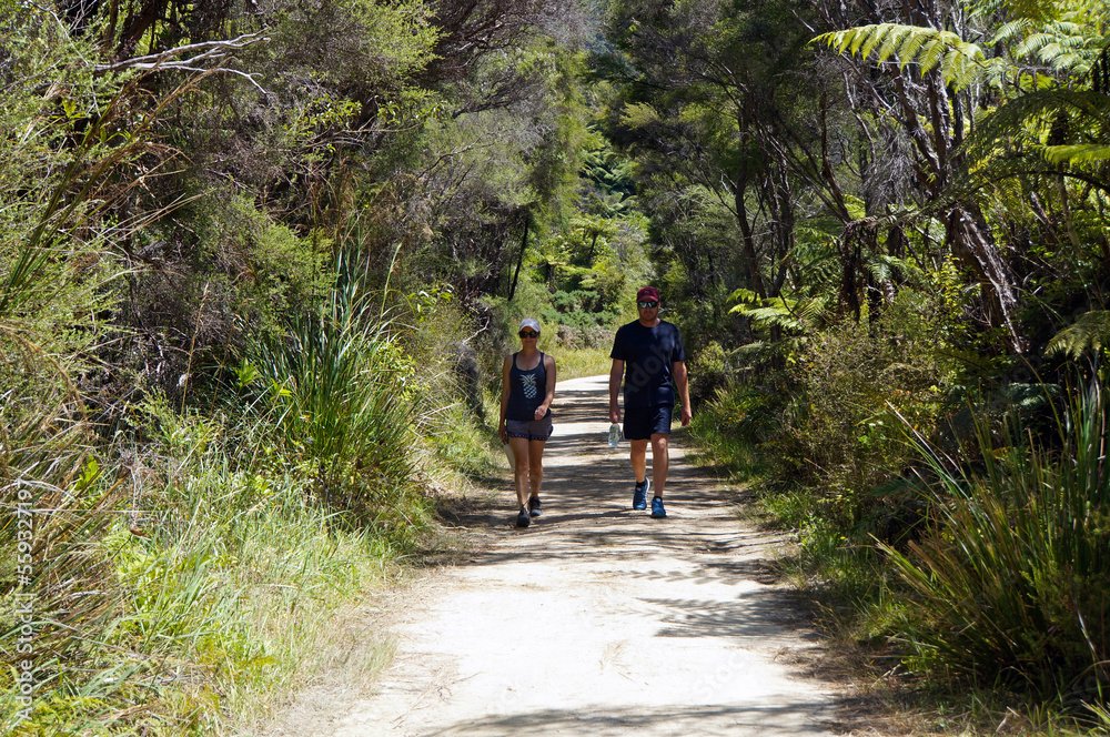 A European female and male walking through the native bush on the Abel Tasman National Park track, in summertime in New Zealand