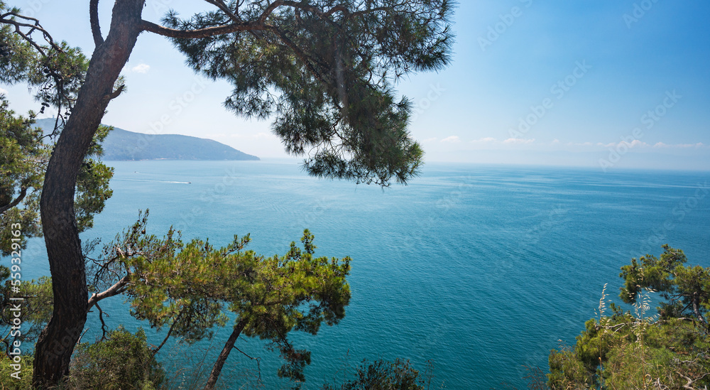 View of the Black Sea and pine trees on a sunny summer day. Turkey View of the Black Sea and pine trees on a sunny summer day. Turkey