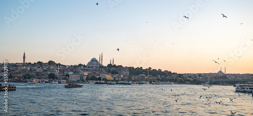 Evening landscape from the sea to the Sofia mosque with ships and flying seagulls over the sea. Sunset in Istanbul. Turkey