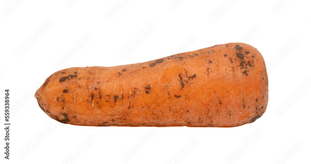Dirty carrots on a white background. Dirty carrots on a white background.