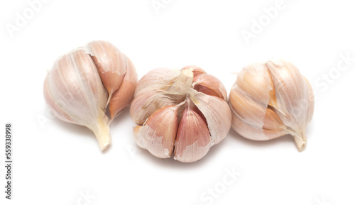 Head of garlic on a white background.