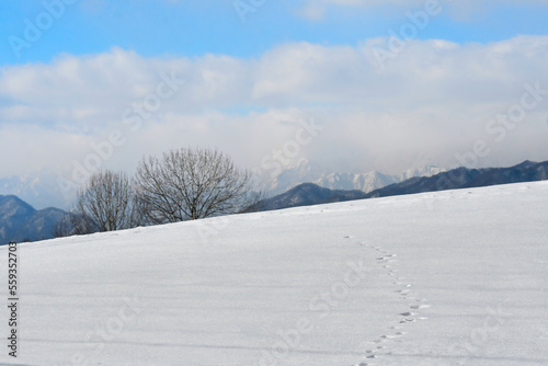 雪面と冬景色