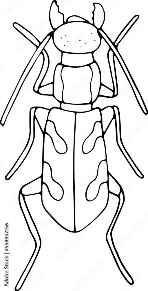Hand drawn beetle icon in doodle style. Vector children's illustration for coloring.
Hand drawn beetle icon in doodle style. Vector children's illustration for coloring.