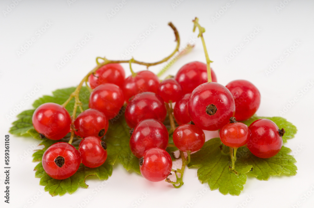 Red currant berries isolated on white background Red currant berries isolated on white background