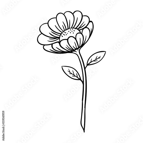 hand drawing style of flower vector. Suitable for iconic icon.