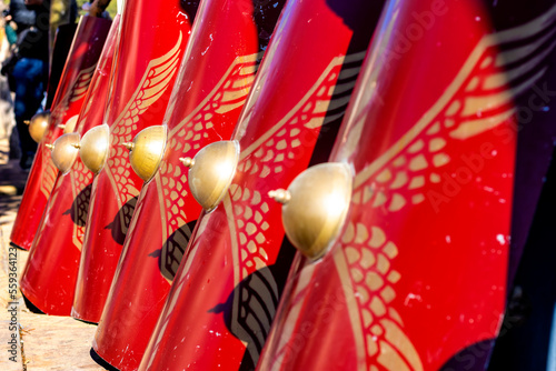 Roman shields. Vertical view of Shields of the Roman legionaries ready for combat.