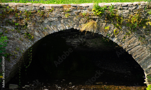 Old stone aqueduct bridge in the forest of the Carpathian mountains. Stone bridge overgrown with vegetation