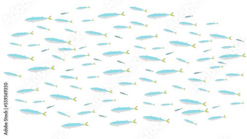 Fotografia 小魚の群れのイラスト