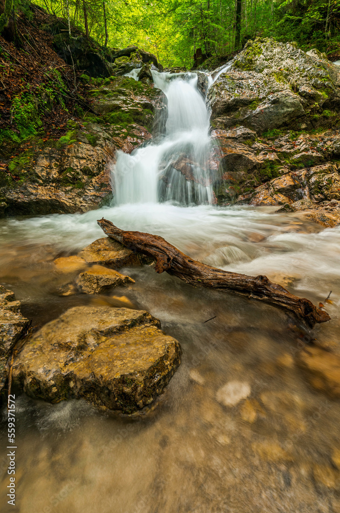 Obraz premium waterfall in the mountains