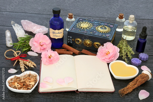 Obraz na plátne Aphrodisiac love potion recipe ingredients with magic spell notebook with herbs, rose flowers, honey, fertility corn dolly, oil, spring water and quartz crystals