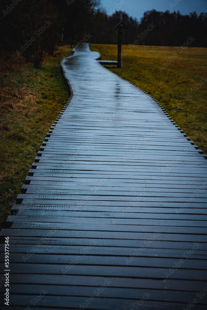 Fototapeta premium Moor, Moorweg, Weg, Bohlenweg, Schwarzes Moor, nass, Regen, Moor