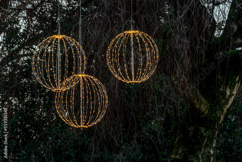 lightballs hanging in a tree, photo made outside