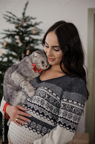 Beautiful gray cat in the arms of a pregnant woman