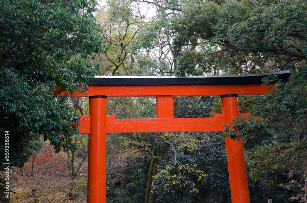 Torii gate in the Shimogamo Shrine. Shimogamo. Kyoto. Japan. Torii gate in the Shimogamo Shrine. Shimogamo. Kyoto. Japan.