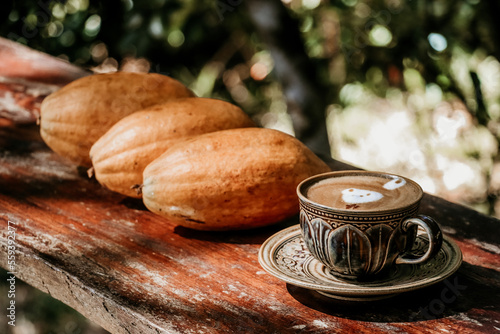Fresh cocoa fruit with cocoa pods and coffee on the table background © Anurak