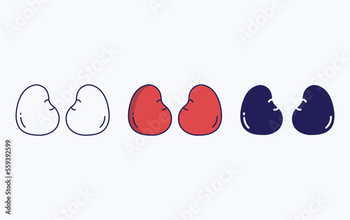 Chicken kidney icon