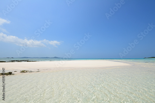 沖縄の綺麗な海