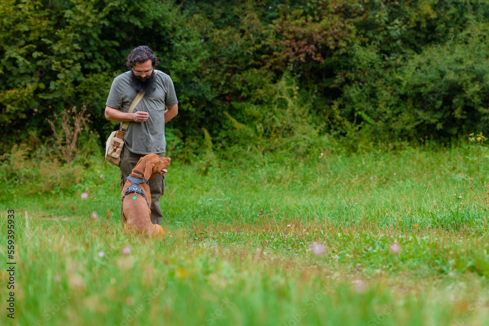 Beautiful Hungarian Vizsla puppy and its owner during obedience training outdoors. Sit and stay command. Beautiful Hungarian Vizsla puppy and its owner during obedience training outdoors. Sit and stay command.
