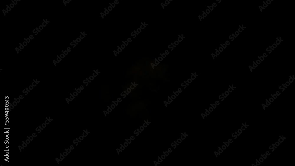 Fire Explosion Transparent Alpha Video 3D Animation Fire Explosion Transparent Alpha Video 3D Animation