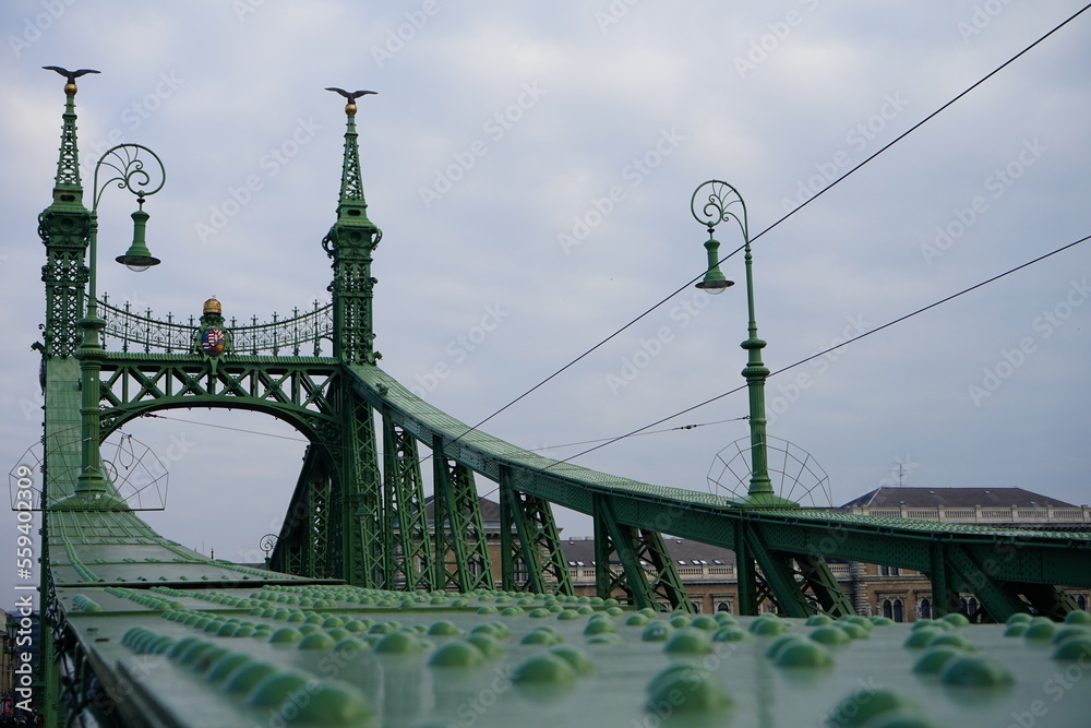 Fototapeta premium Freedom bridge, Budapest, Hungary