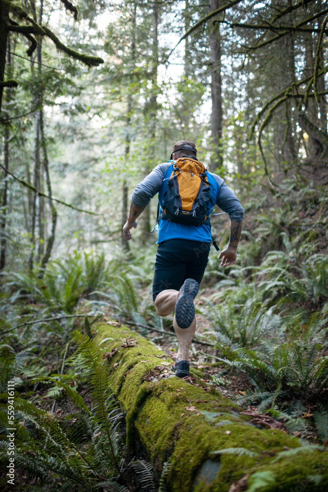 Man trail running in forest near Elbow Lake in Fraser Valley, Harrison Mills, British Columbia, Canada Man trail running in forest near Elbow Lake in Fraser Valley, Harrison Mills, British Columbia, Canada