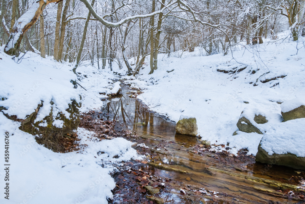 Fototapeta premium small brook flow through the snowbound mountain canyon