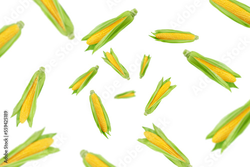 Falling corn ear, isolated on white background, selective focus