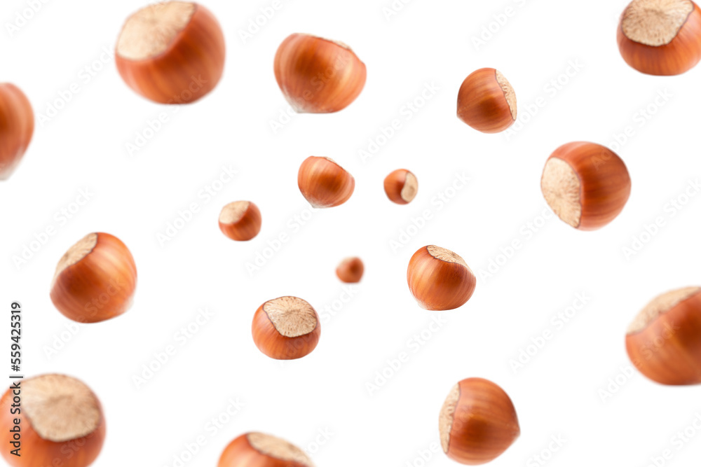Falling hazelnut isolated on white background, selective focus