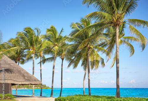 Beautiful beach with coconut palm trees on a sunny day, the perfect summer vacation concept.